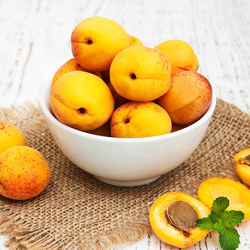 Абрикос Снегирек артикул фото 1 Абрикос Снегирек изображение 1 артикул 4157