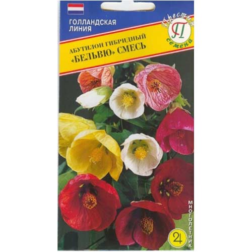 Абутилон Бевилью, смесь окрасок Престиж изображение 1 артикул 71407