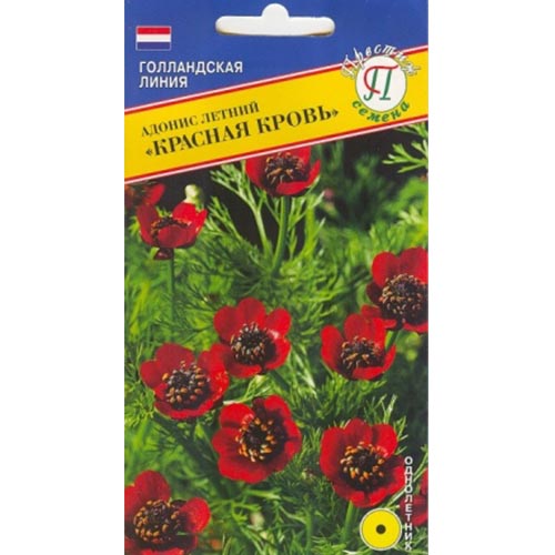 Адонис Красная кровь Престиж артикул фото 1 Адонис Красная кровь Престиж изображение 1 артикул 84408