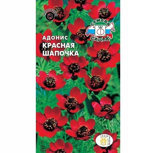 Адонис Красная шапочка Седек изображение 1 артикул 93617