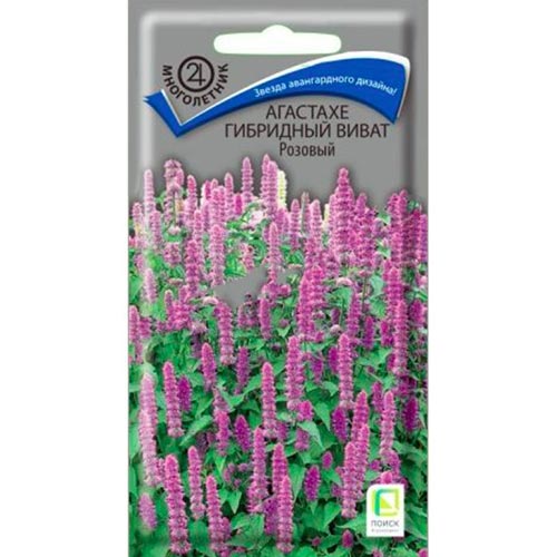 Агастахе Виват розовый Поиск изображение 1 артикул 92836