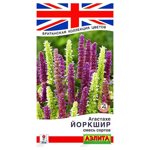 Агастахе Йоркшир, смесь окрасок Аэлита артикул фото 1 Агастахе Йоркшир, смесь окрасок Аэлита изображение 1 артикул 98808