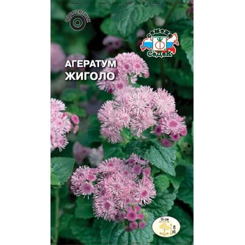 Агератум Жиголо Седек изображение 1 артикул 93613