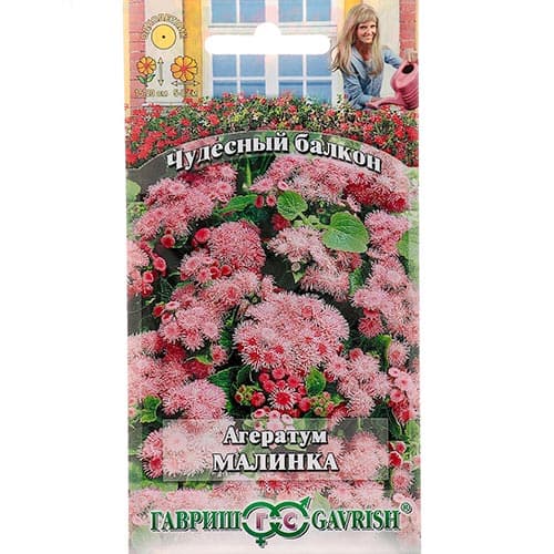 Агератум Малинка Гавриш изображение 1 артикул 91878