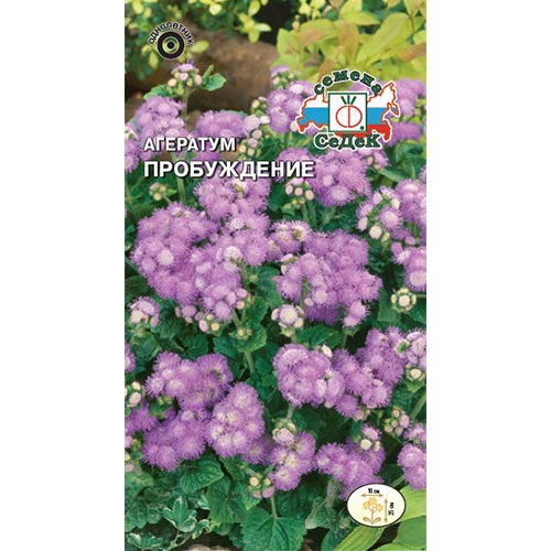 Агератум Пробуждение Седек изображение 1 артикул 93614