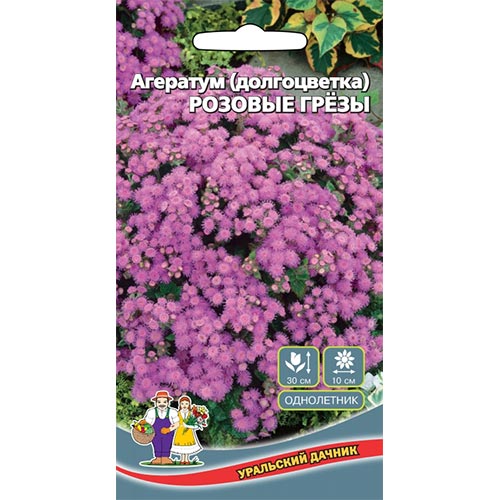 Агератум Розовые грезы Уральский дачник изображение 1 артикул 94755