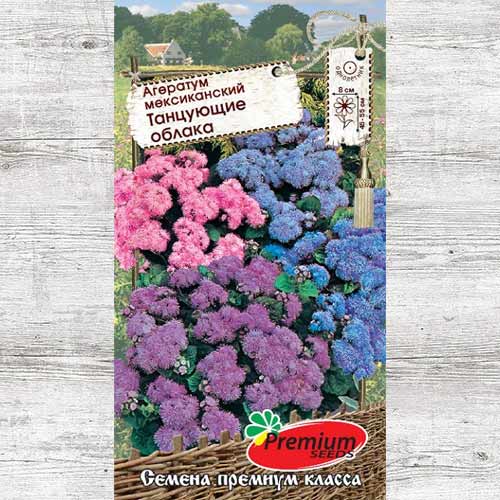 Агератум Танцующие облака, смесь окрасок изображение 1 артикул 83880