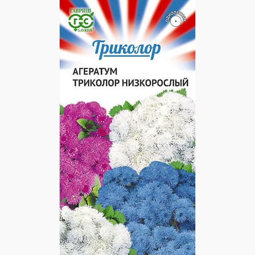 Агератум Триколор низкорослый, смесь окрасок Гавриш изображение 1 артикул 97568