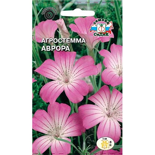 Агростемма Аврора Седек изображение 1 артикул 93616