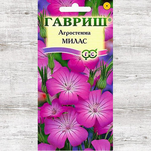 Агростемма Милас Гавриш изображение 1 артикул 71105