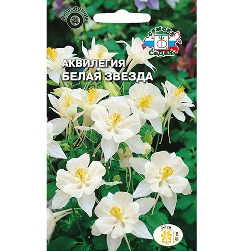 Аквилегия Белая звезда Седек изображение 1 артикул 93619