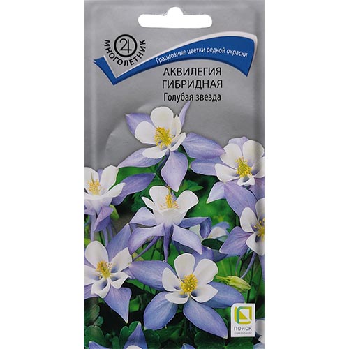 Аквилегия Голубая звезда Поиск изображение 1 артикул 92845