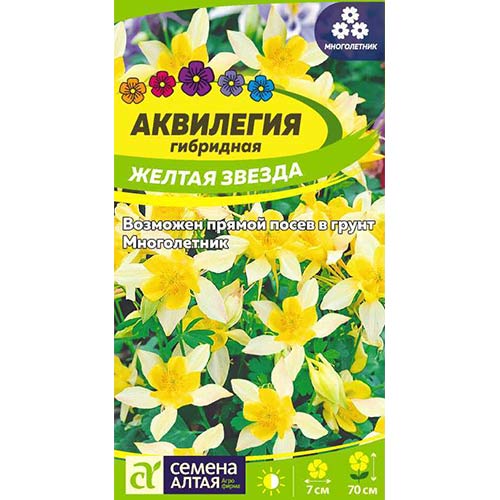 Аквилегия Желтая звезда Семена Алтая артикул фото 1 Аквилегия Желтая звезда Семена Алтая изображение 1 артикул 81604