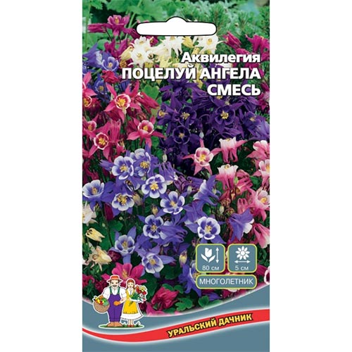 Аквилегия Поцелуй ангела, смесь окрасок Уральский дачник изображение 1 артикул 94757
