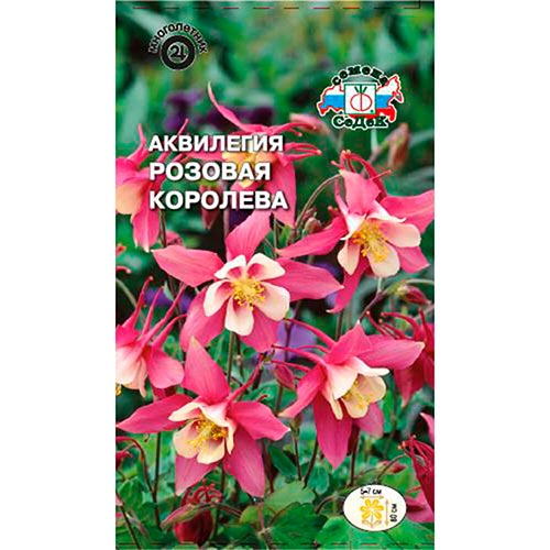 Аквилегия Розовая Королева Седек изображение 1 артикул 93622