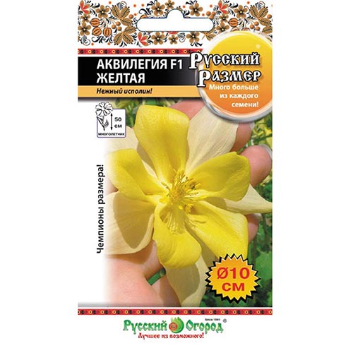 Аквилегия Русский Размер Желтая F1 НК изображение 1 артикул 92407