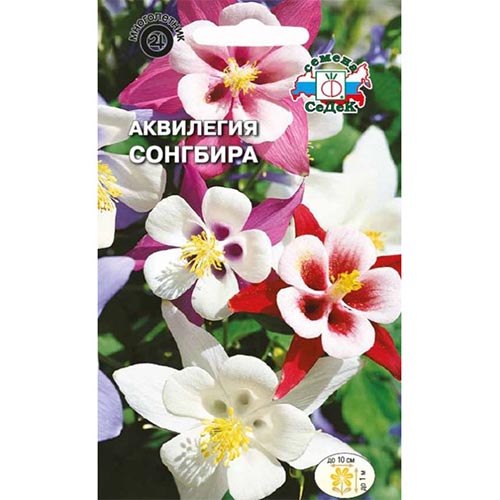 Аквилегия Сонгбира, смесь окрасок Седек изображение 1 артикул 93623