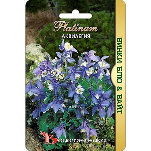 Аквилегия Винки Блю & Вайт Биотехника изображение 1 артикул 91539