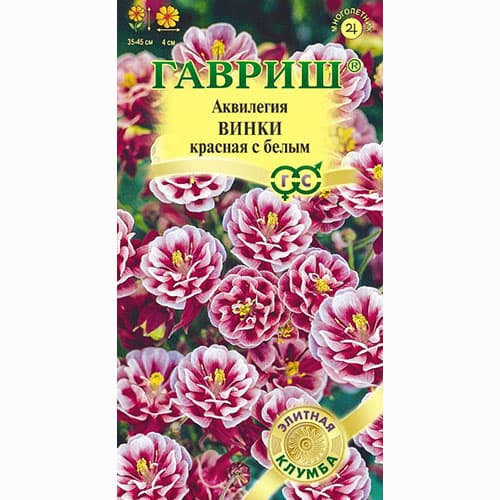 Аквилегия Винки красная с белым Гавриш изображение 1 артикул 91882