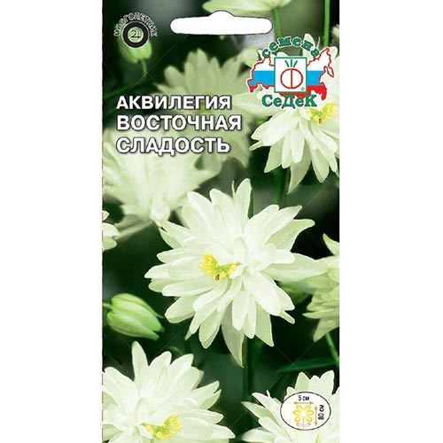 Аквилегия Восточная сладость Седек изображение 1 артикул 93620