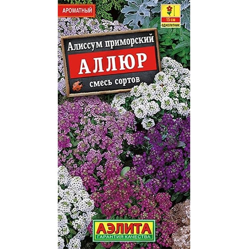 Алиссум Аллюр, смесь окрасок Аэлита артикул фото 1 Алиссум Аллюр, смесь окрасок Аэлита изображение 1 артикул 40263