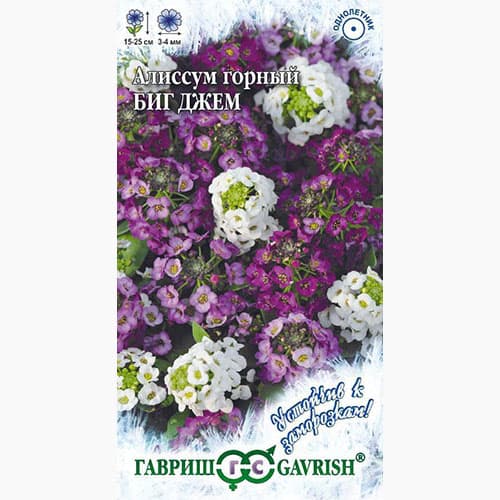 Алиссум Биг Джем, смесь окрасок Гавриш изображение 1 артикул 97570