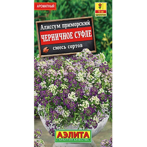 Алиссум Черничное суфле, смесь окрасок Аэлита изображение 1 артикул 98819