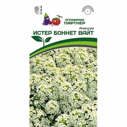 Алиссум Истер Боннет Вайт Партнер изображение 1 артикул 40801