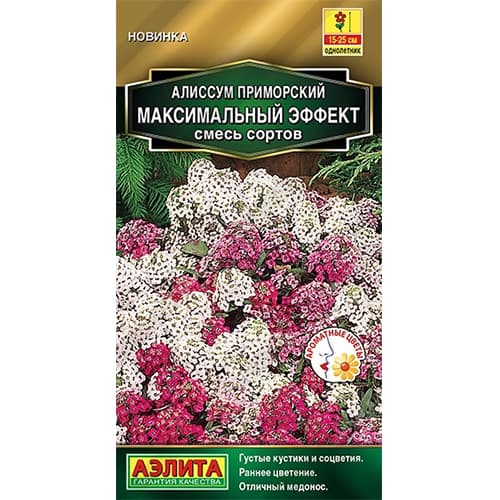 Алиссум Максимальный эффект, смесь окрасок Аэлита артикул фото 1 Алиссум Максимальный эффект, смесь окрасок Аэлита изображение 1 артикул 40265