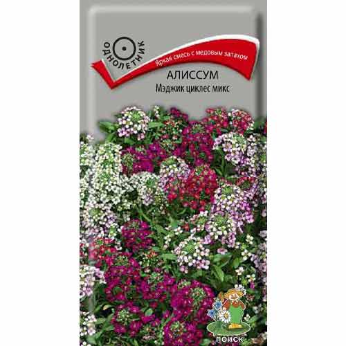 Алиссум Мэджик циклес, смесь окрасок Поиск изображение 1 артикул 82022