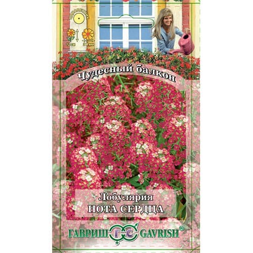 Алиссум Нота сердца Гавриш изображение 1 артикул 91890