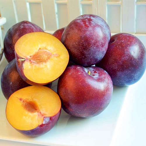 Алыча Деликатная изображение 1 артикул 4161