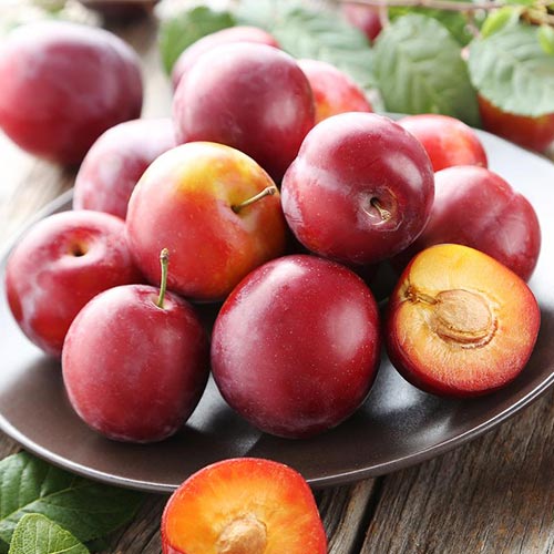 Алыча Карамельная изображение 1 артикул 7002