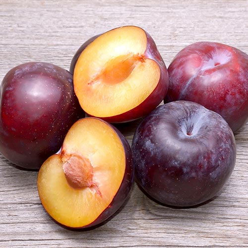 Алыча Тимирязевская изображение 1 артикул 4164