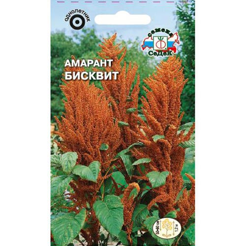 Амарант Бисквит Седек изображение 1 артикул 93628
