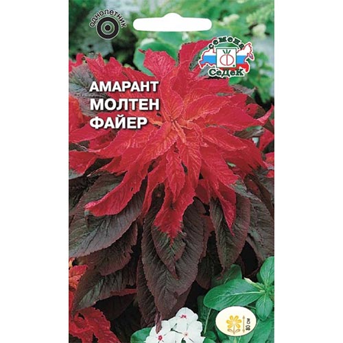 Амарант Молтен Файер Седек изображение 1 артикул 93629