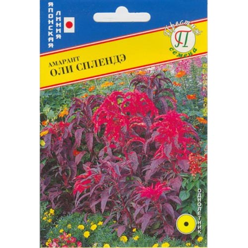 Амарант Оли Сплендэ Престиж изображение 1 артикул 84413