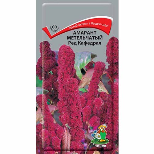 Амарант Ред Кафедрал Поиск артикул фото 1 Амарант Ред Кафедрал Поиск изображение 1 артикул 82023