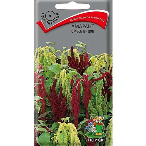 Амарант, смесь окрасок Поиск изображение 1 артикул 92856