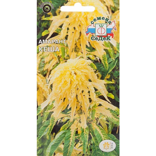 Амарант трехцветный Кеша Седек изображение 1 артикул 93631