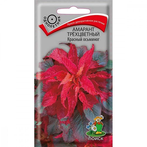 Амарант трехцветный Красный осьминог Поиск изображение 1 артикул 92855