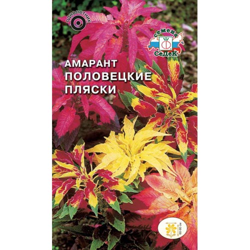Амарант трехцветный Половецкие пляски Седек изображение 1 артикул 93632