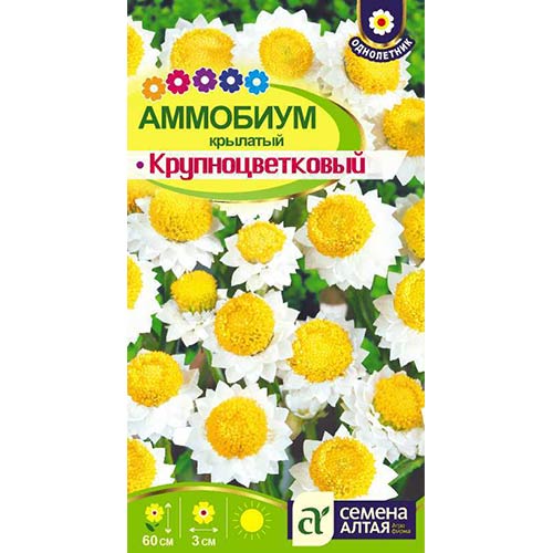 Аммобиум Крупноцветковый Семена Алтая артикул фото 1 Аммобиум Крупноцветковый Семена Алтая изображение 1 артикул 78180