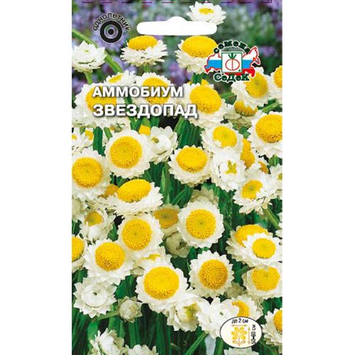 Аммобиум Звездопад Седек изображение 1 артикул 93634