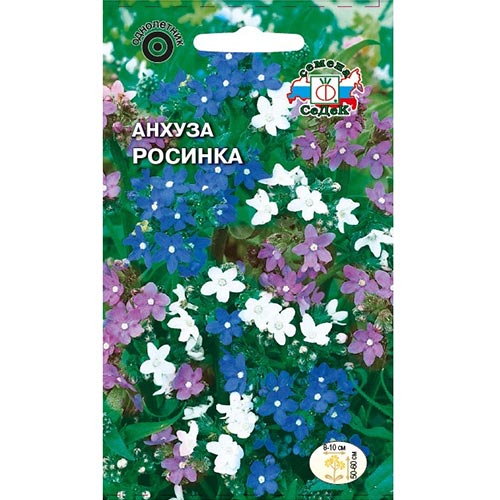Анхуза Росинка, смесь окрасок Седек изображение 1 артикул 93642