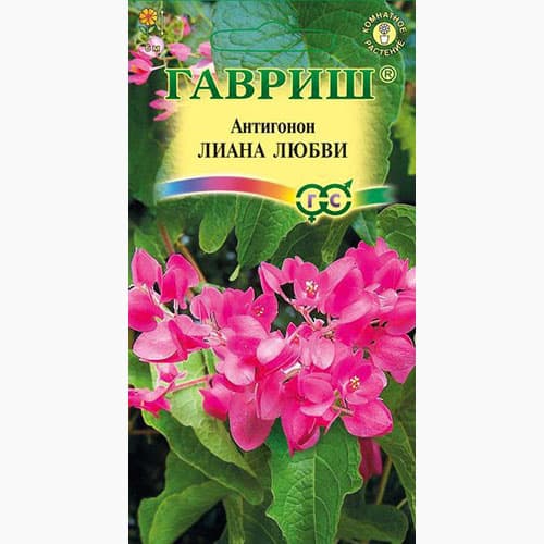 Антигонон розовый Лиана любви Гавриш изображение 1 артикул 97571