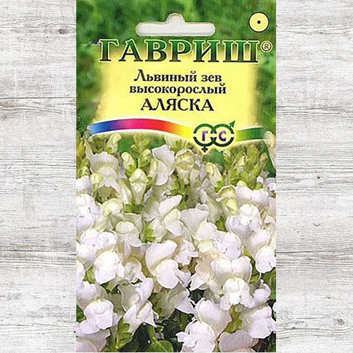 Антирринум Аляска Гавриш артикул фото 1 Антирринум Аляска Гавриш изображение 1 артикул 73770