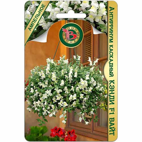 Антирринум (львиный зев) Кэнди Вайт F1 Биотехника изображение 1 артикул 84597