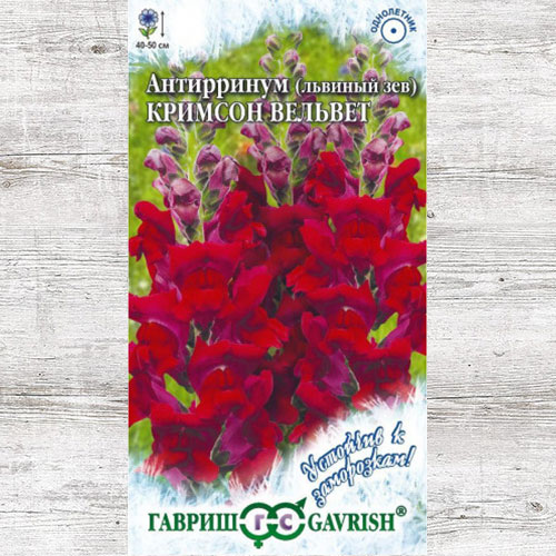 Антирринум Кримсон Вельвет Гавриш изображение 1 артикул 73772