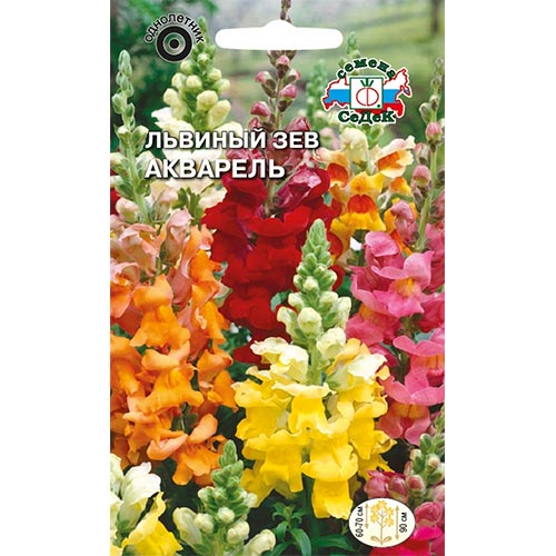 Антирринум (львиный зев) Акварель, смесь окрасок Седек изображение 1 артикул 93636